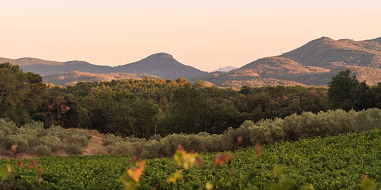 Choisir domaine mariage